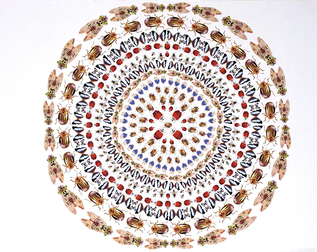 Tertiary Category Encouragement Award - Eleni Atzemis, Kaleidoscope